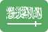 Logo Arabia Saudyjska U21