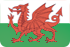 Logo Wales U20