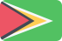 Logo Guyana U20