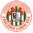 Logo Zagłębie Lubin