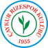 Logo Rizespor