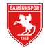 Logo Samsunspor