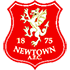 Logo Newtown