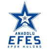 Logo Anadolu Efes