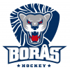 Logo Boraas