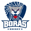 Boraas