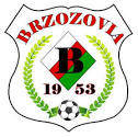 Logo Brzozovia Brzozów