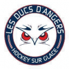 Logo Angers