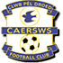 Logo Caersws