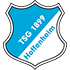 Logo Hoffenheim