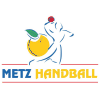 Logo Metz