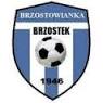 Brzostowianka Brzostek