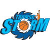 Logo Tromsoe Storm