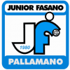 Logo Junior Fasano