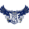 Rice Owls