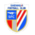 Logo Shanghai Shenhua