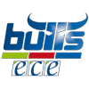 Logo Kapfenberg Bulls