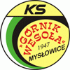 KS Górnik Wesoła