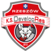 Logo Developres Rzeszów