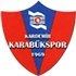 Logo Karabukspor