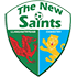 Logo TNS