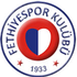 Logo Fethiyespor