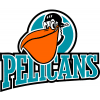 Logo Pelicans