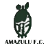 Logo AmaZulu