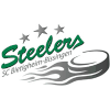 Logo Bietigheim Steelers