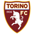 Logo Torino