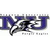 Logo Niagara Purple Eagles