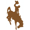 Logo Wyoming Cowboys