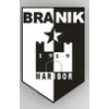 Logo ZRK Branik