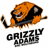 Logo Grizzlys Wolfsburg