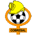 Logo Cobresal