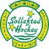 Logo Skellefteaa