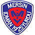 Logo Yeni Mersin Idmanyurdu