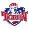 Logo Nesta Torun