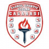 Logo Dunarea Calarasi