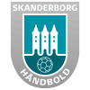 Skanderborg Aarhus Handball