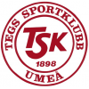 Logo Tegs