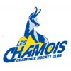 Logo Chamonix Mont-Blanc