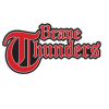 Logo Brave Thunders