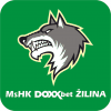Logo Zilina