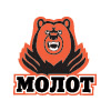 Logo Molot-Prikamye Perm